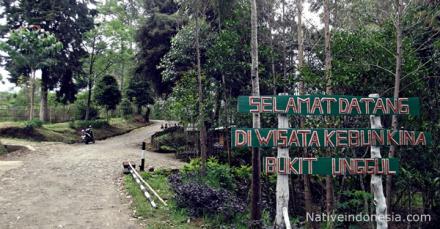 Wisata Bukit Tunggul Desa Cipanjalu 